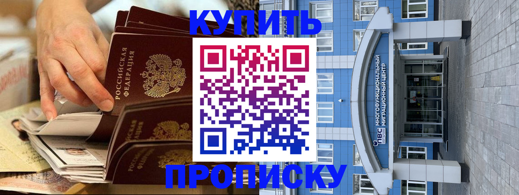 прописка гарантия в Щиграх